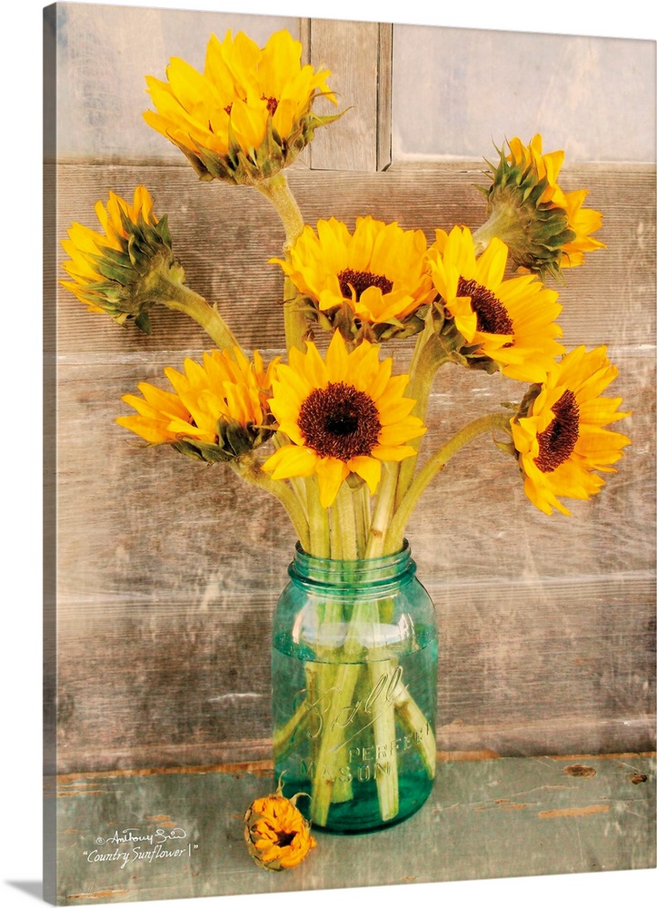 Decorative artwork with a bouquet of sunflowers in a ball mason jar vase over a distressed wood background.