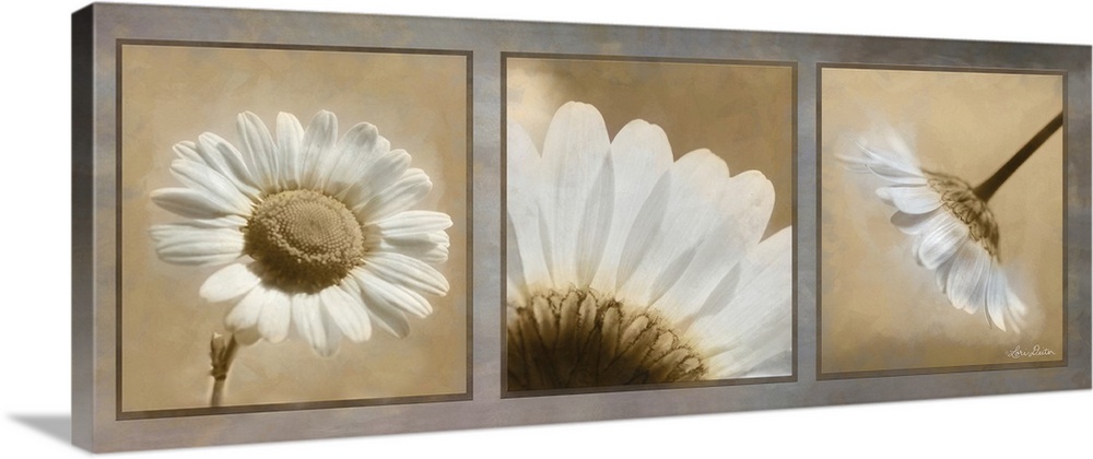 This contemporary piece features three  close-up photos of a daisy.
