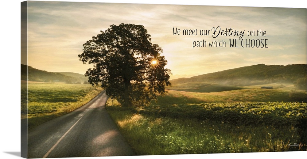 Photograph of a countryside landscape featuring the words: We meet our destiny on the path which we choose, above it.