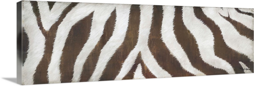 A large horizontal close up of the body of a zebra in white and brown.