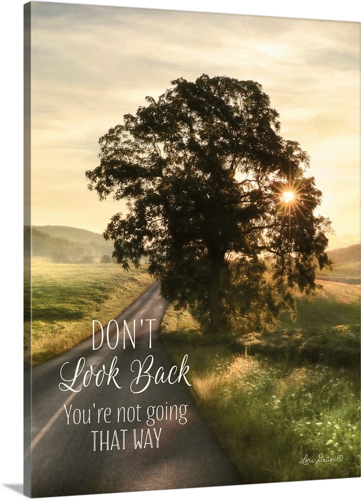 The words: Don't look back, you're not going that way, over a countryside landscape.