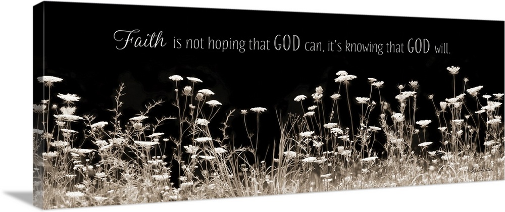 Photograph of a flowers with the words: Faith is not hoping that God can, it's knowing that God will, above them.