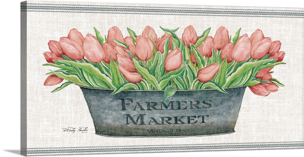 Farmer's Market Blush Tulips