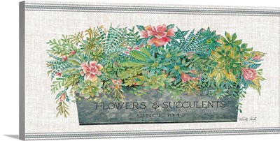 Flowers & Succulents