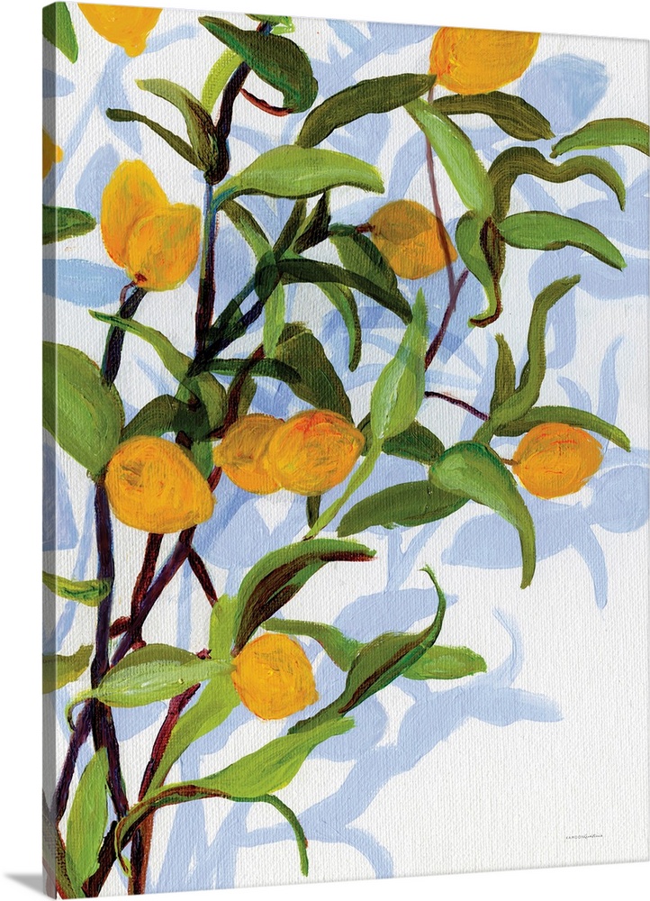 Gatherings In Summer 2