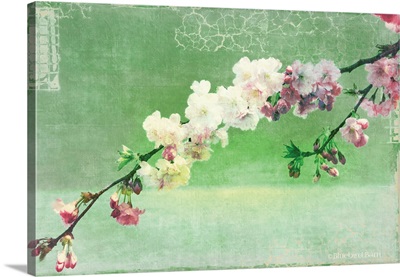 Green and Pink Arching Blossom