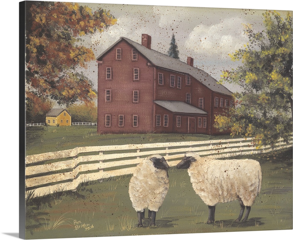 Hancock Sheep