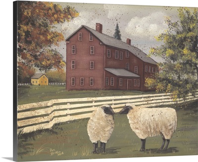 Hancock Sheep