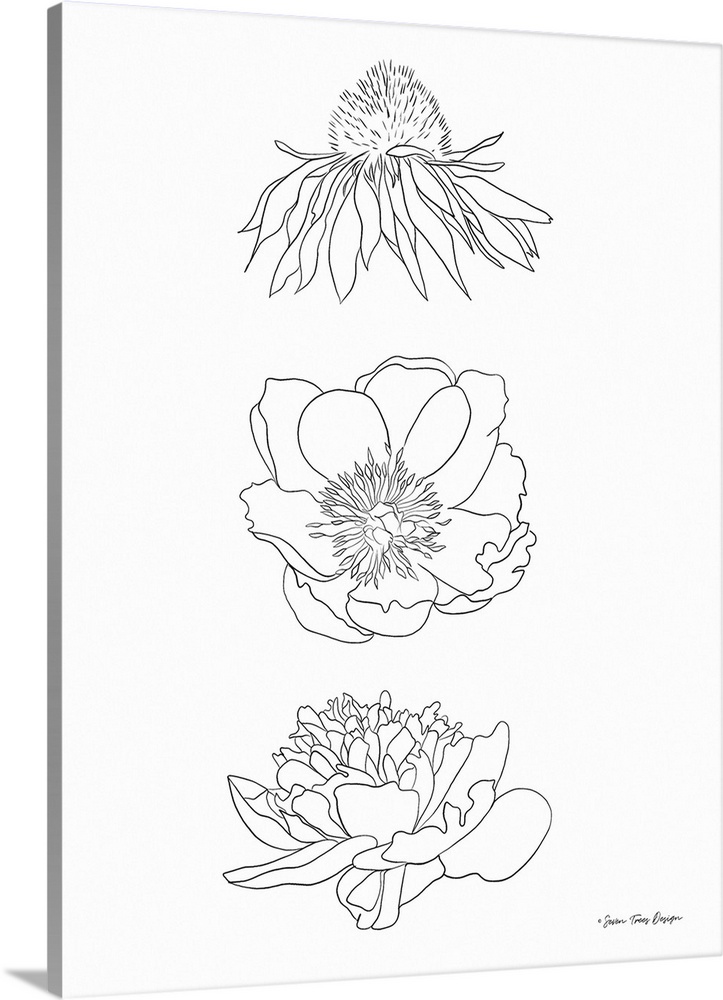 Hand Drawn Flowers
