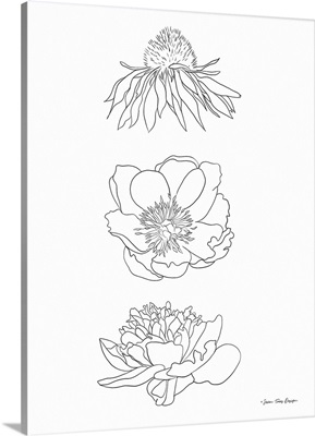 Hand Drawn Flowers
