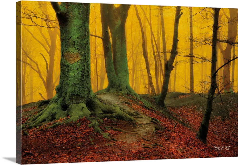 Bright yellow light in a forest, contrasting with dark trees and red leaves on the floor.