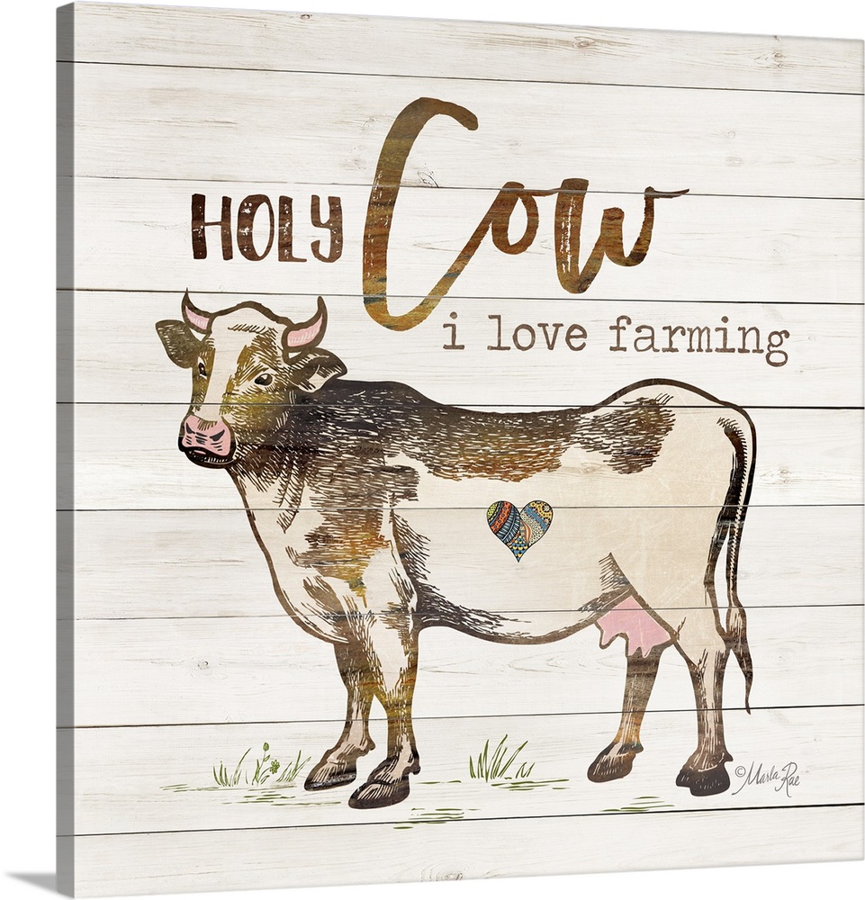 Illustration of a cow with humorous text on a white board background.