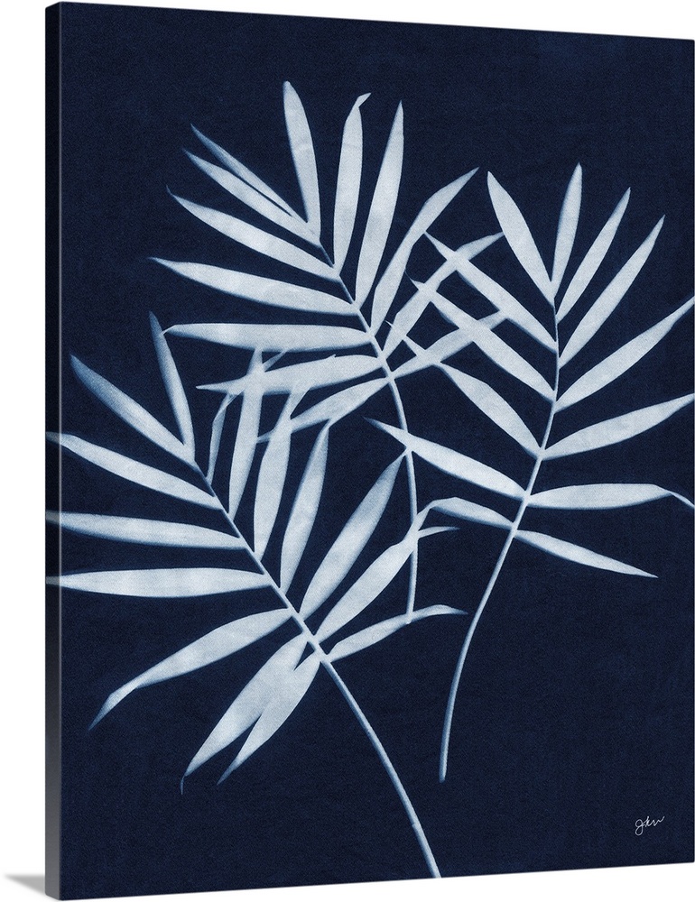 Indigo Palm