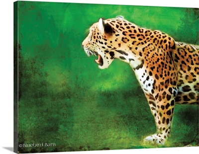 Jaguar Standing in the Green