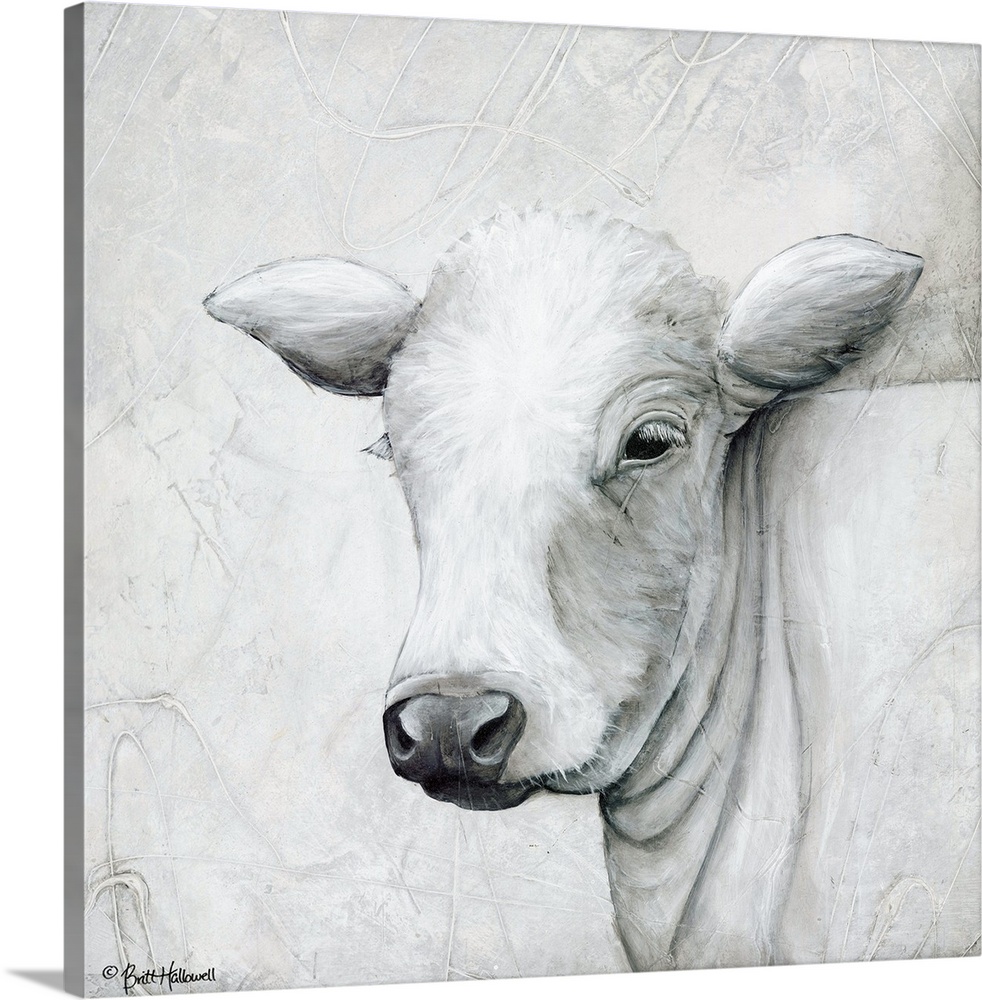 Portrait of a white cow with long ears.
