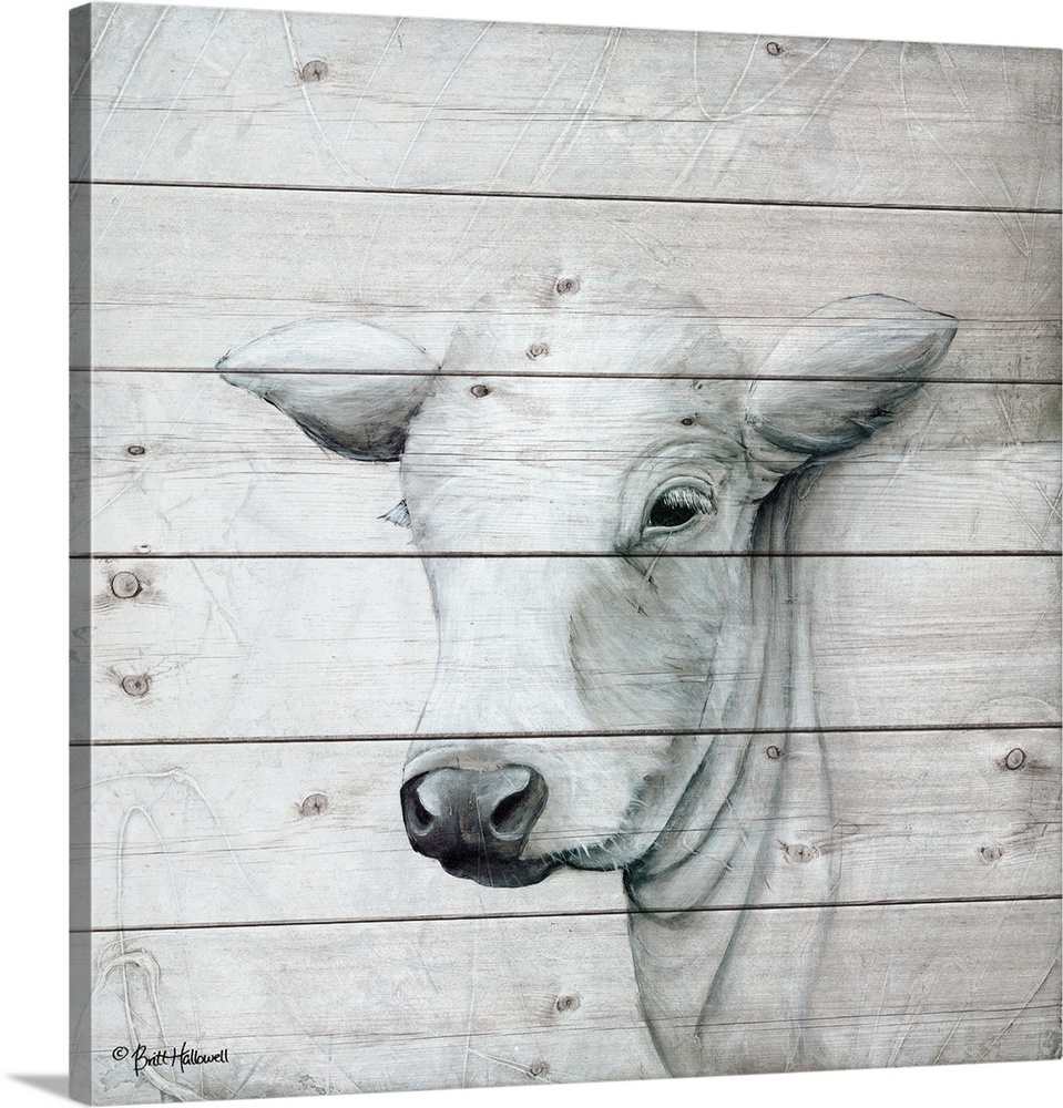 Painting of a white cow with a quiet expression on a faux wooden board background.