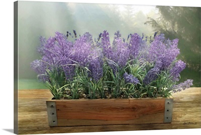 Lavender Planter