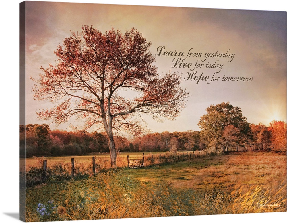 An inspiration quote over an image of a field at sunset with tall trees and a fence.