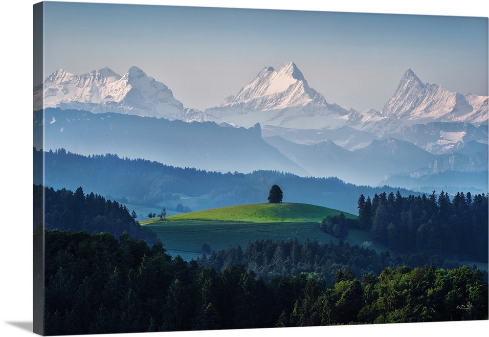 Majestic View I