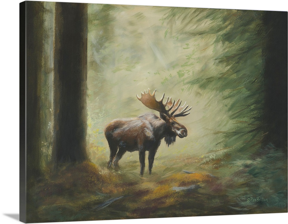 Moose In The Clearing