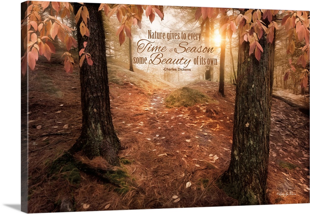 Inspirational sentiment about nature's beauty over an image of an autumn forest.
