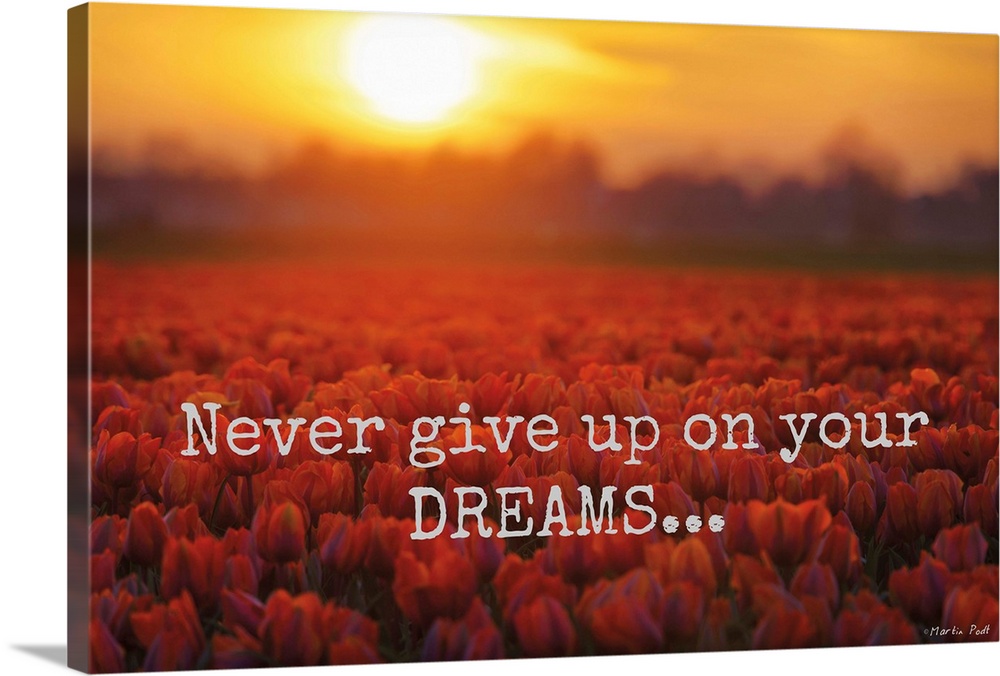 Fields of red tulips under fiery sunset clouds, with inspirational text.