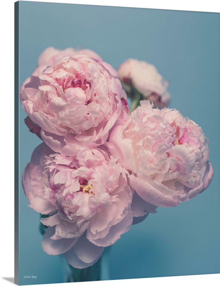 Petals Of Promise II