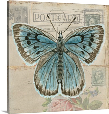 Postcard Butterfly I