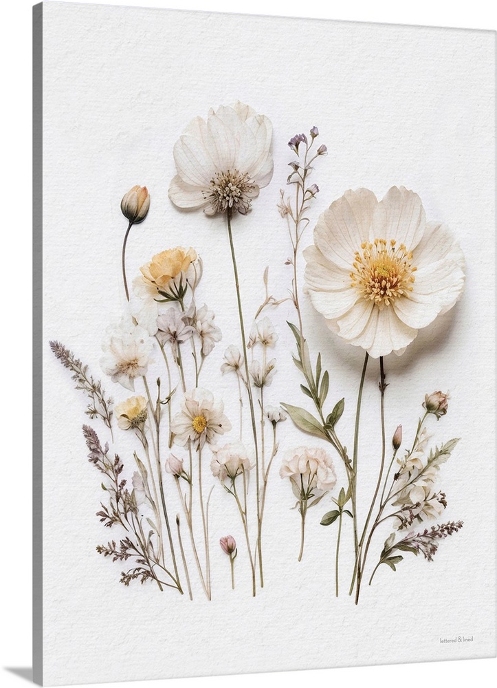 Pressed Flowers I