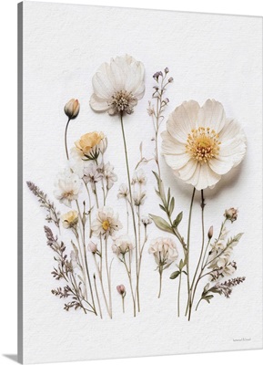 Pressed Flowers I