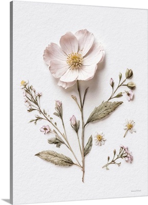 Pressed Flowers II