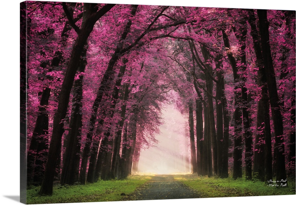 Beams of sunlight shining through a forest clearing with violet colored blossoms.