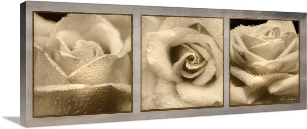 This contemporary piece features three  close-up photos of a rose.