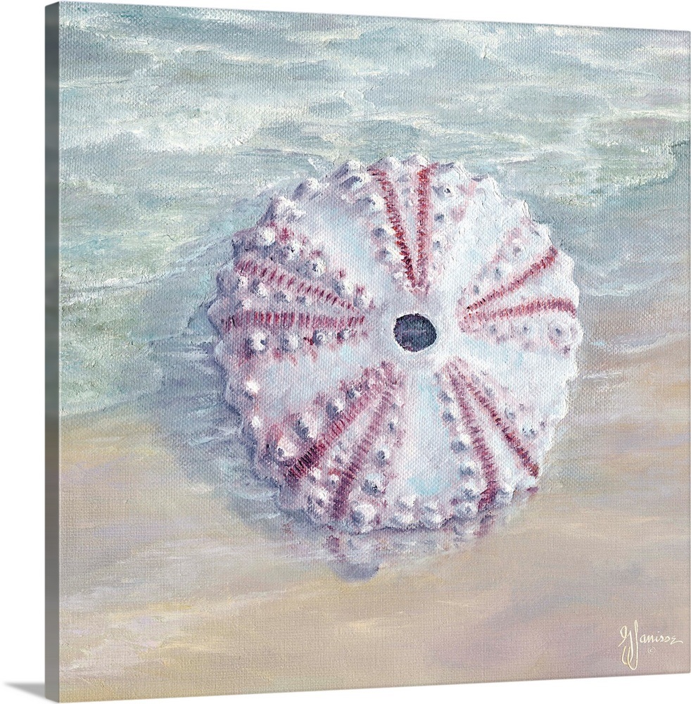 Sea Urchin Wall Art, Canvas Prints, Framed Prints, Wall Peels Great