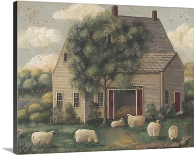 Sheep and House