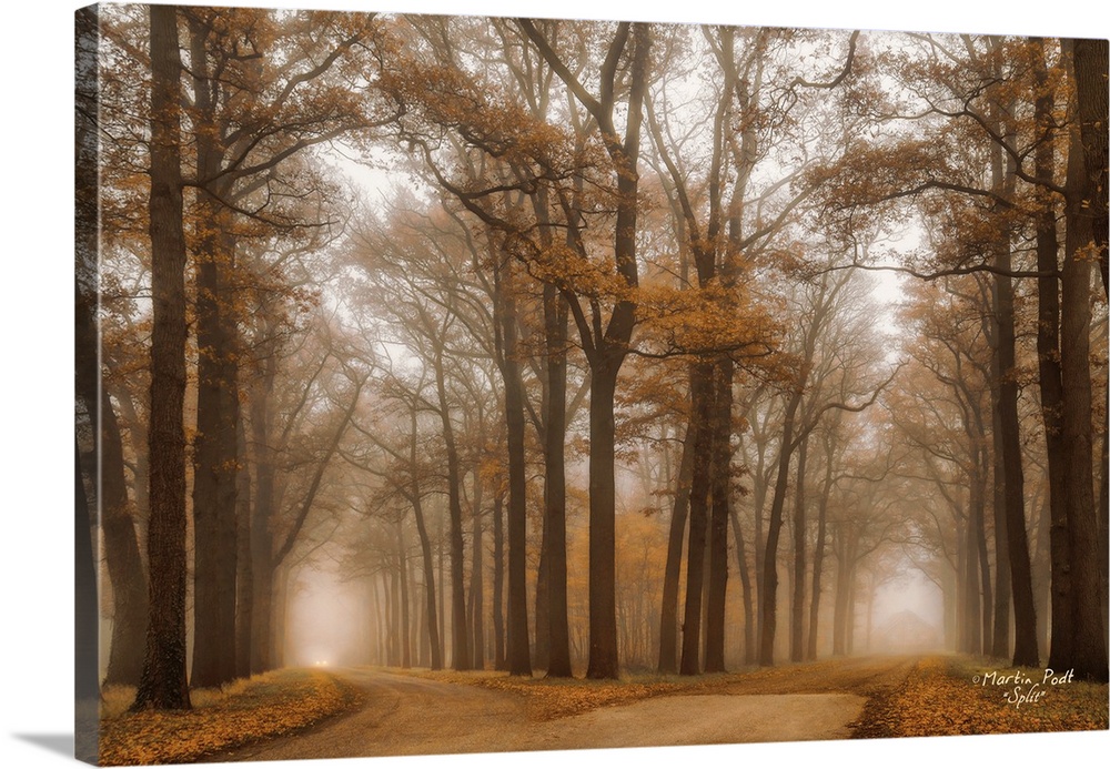 Photograph of a foggy autumn day with the title, Split, in the bottom right corner.