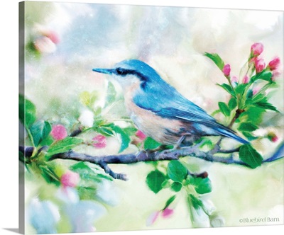 Spring Blue Bird on a Bough