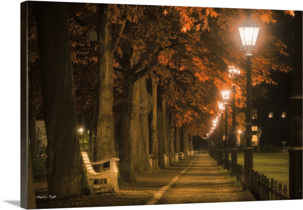 A bench in a park near a row of illuminated street lights in the evening.