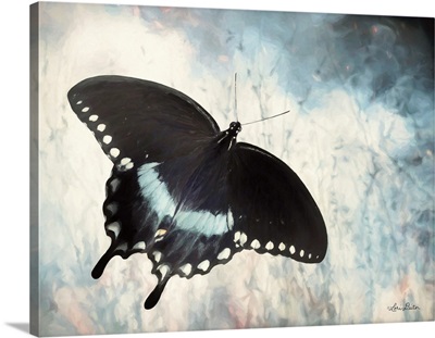 Teal Butterfly I