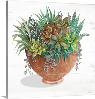 Terracotta Succulents II
