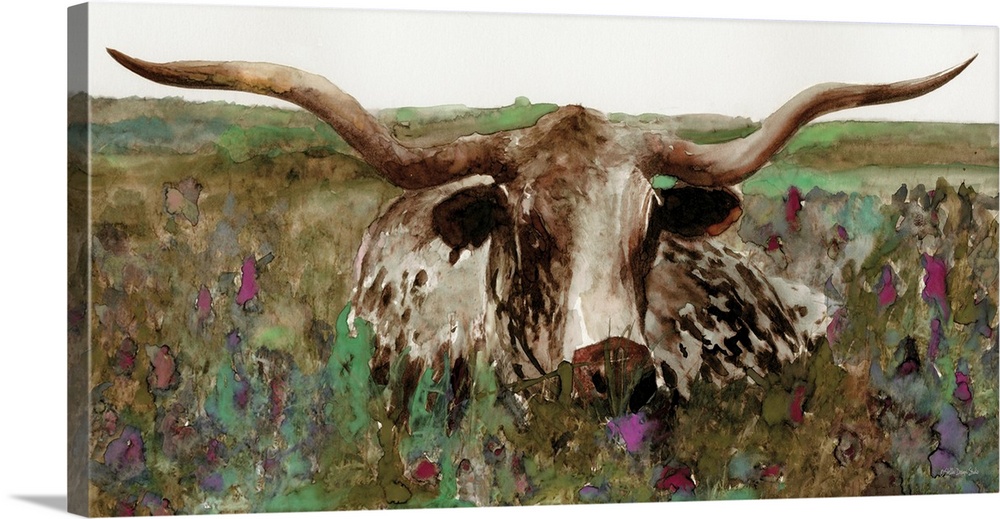 Texas Longhorn In Field