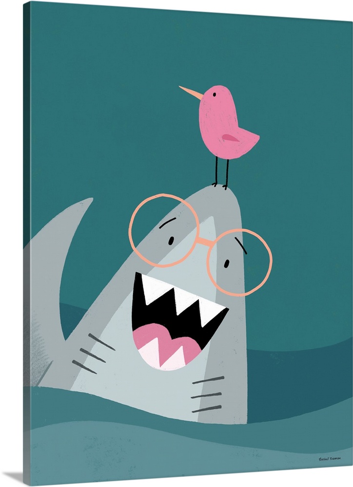 The Friendliest Shark