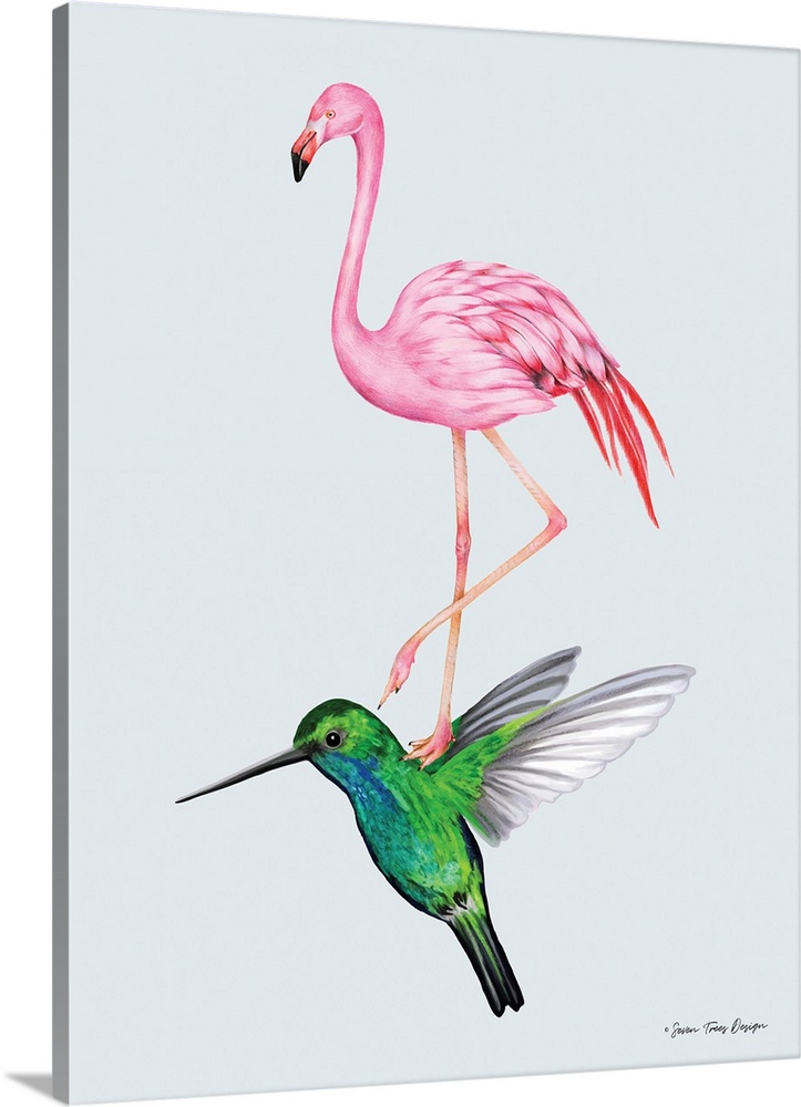 The Hummingbird and the Flamingo