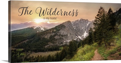 The Wilderness is My Home