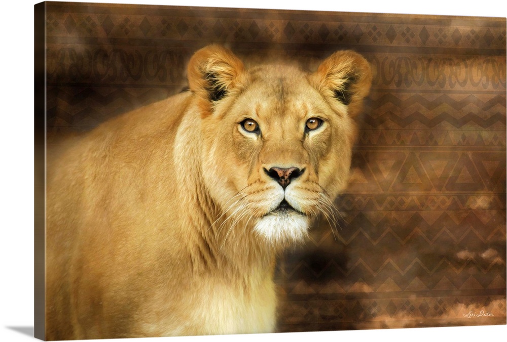 Photograph of a lioness against a tribal patterned background.