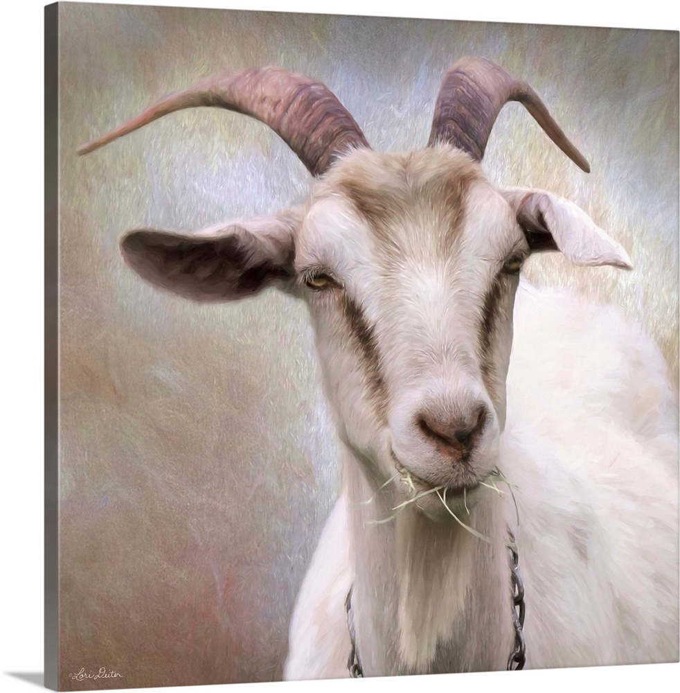 Contemporary art print of a happy goat with grass in its mouth.