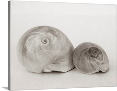 Vintage Muffin Shells