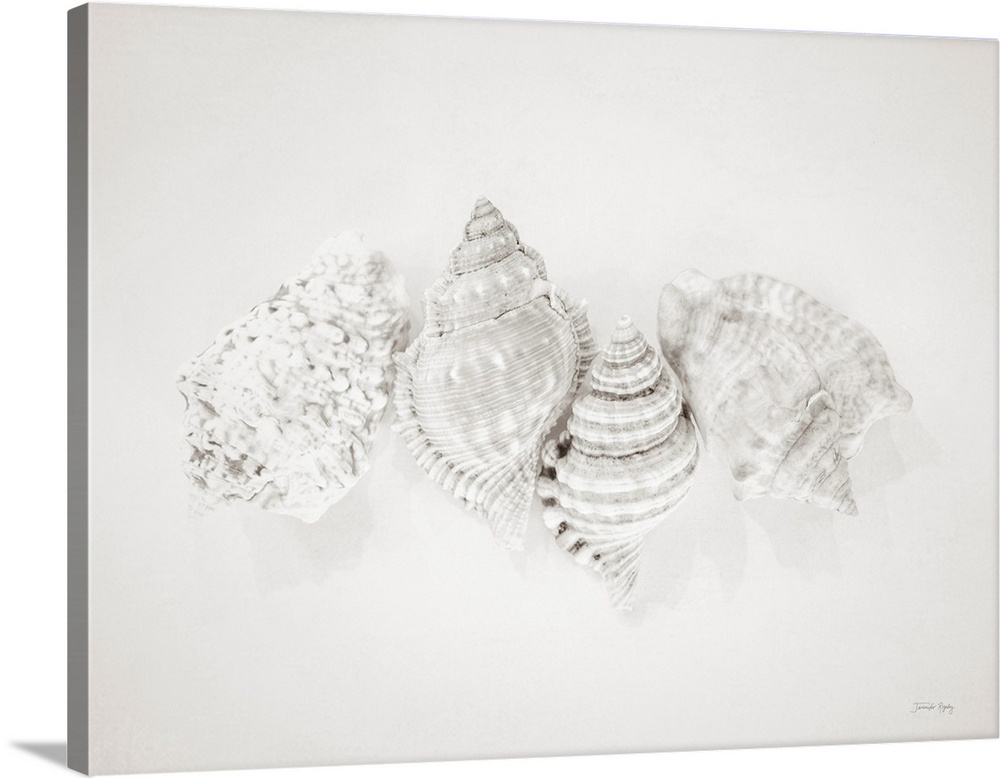 Vintage Nutmeg Shells