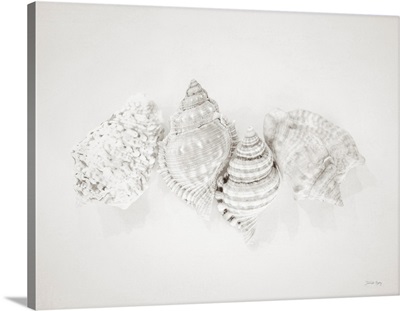 Vintage Nutmeg Shells