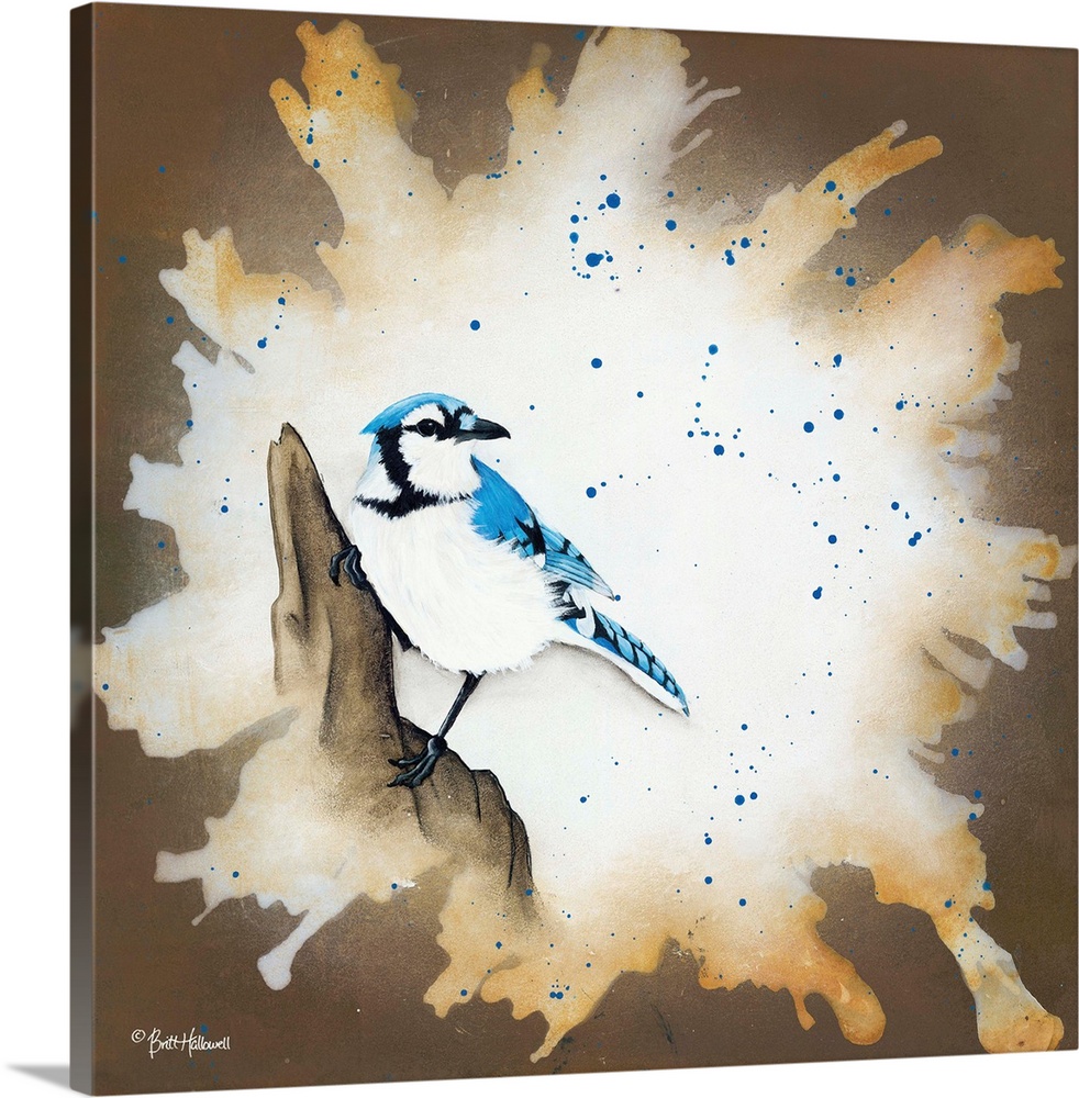 Contemporary painting of a Blue Jay on the rock with a textured border.